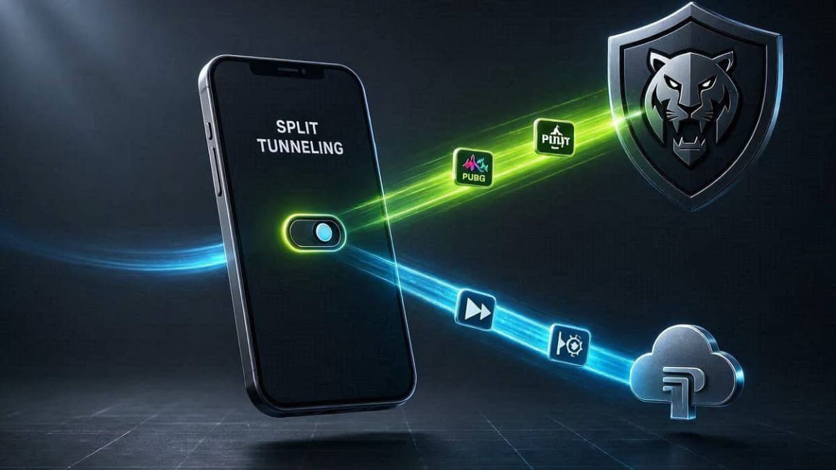 آموزش فعال سازی Split Tunneling در فیلتر شکن ببر سیاه برای جداسازی ترافیک بازی