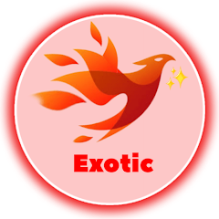 آیکون رسمی فیلترشکن قوی Exotic Tunnel Plus برای گوشی های شیائومی